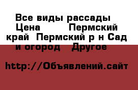 Все виды рассады › Цена ­ 15 - Пермский край, Пермский р-н Сад и огород » Другое   